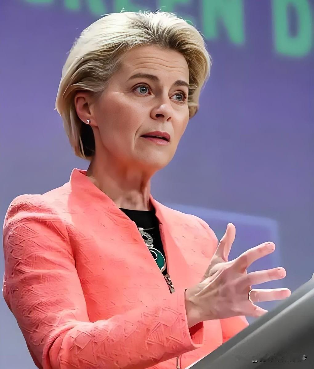 欧盟又出手，中国硬气回怼！就在2月3号晚上，欧盟中国商会直接放话，对欧盟频繁