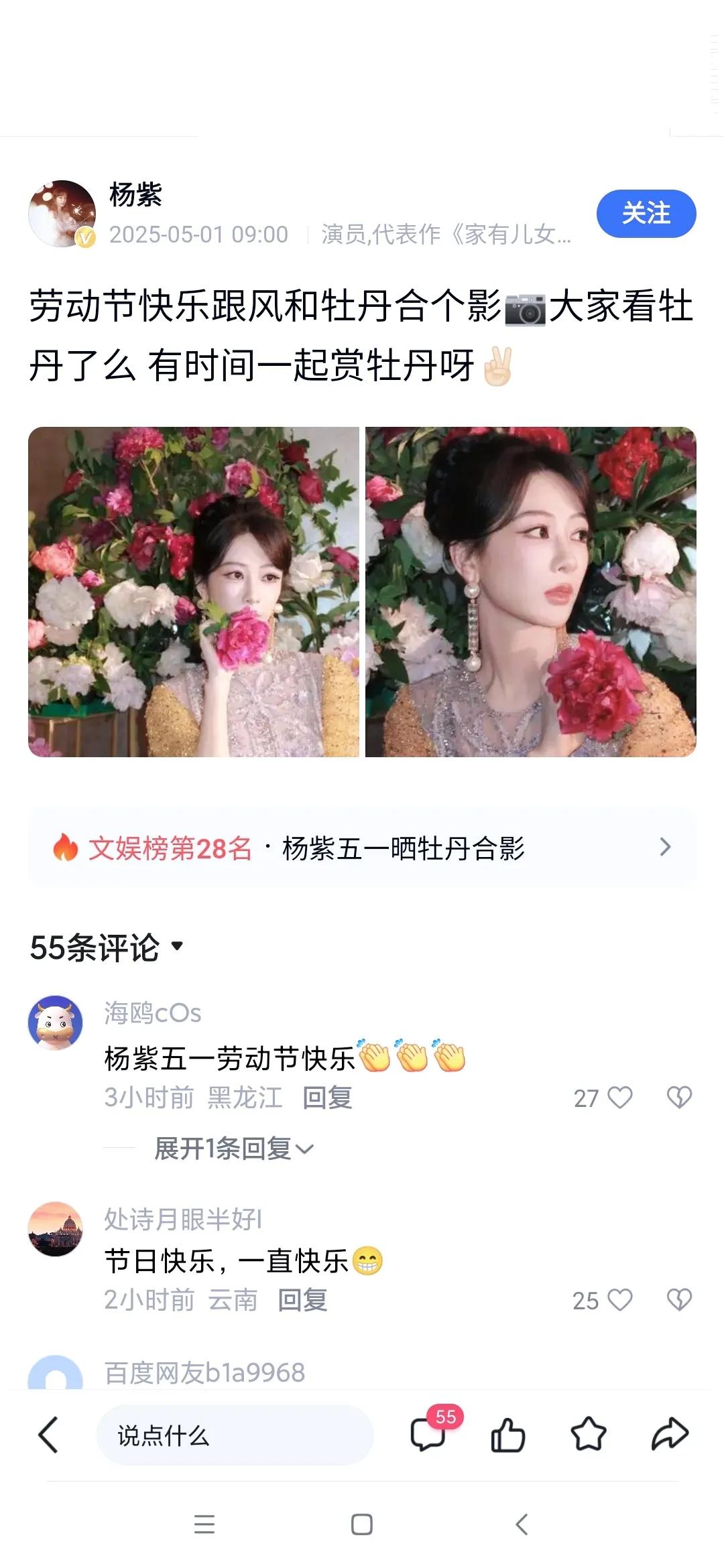 杨紫五一牡丹写真引全网热议！2025年5月1日，国际劳动节的当天上午，小花杨紫