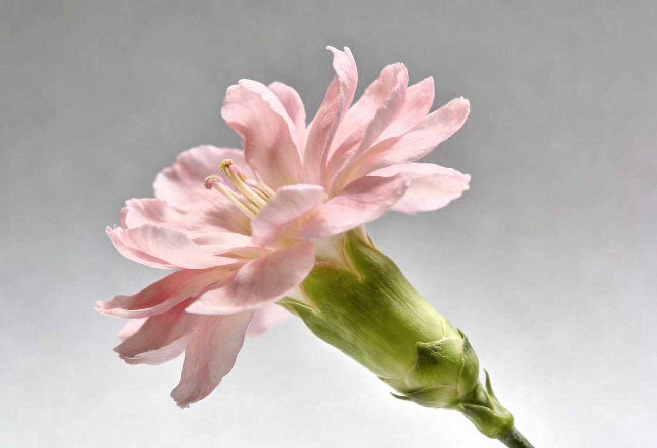 一位睡眠专家说了句大实话：你发现没有，那些倒头就睡的人，都缺一样东西，源于