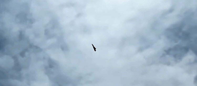 su57在空中停留在11秒这个动作，体现了它的超强机动性能俄罗斯的军工人