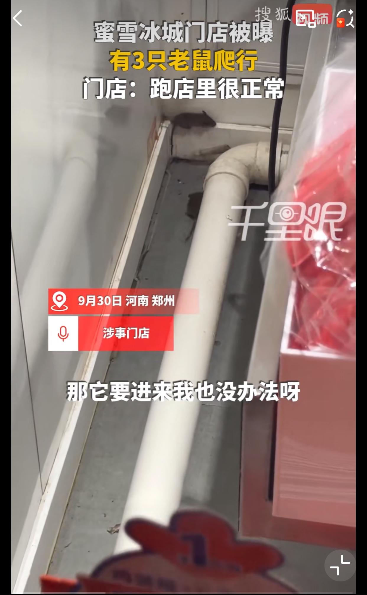 此前网友们玩梗“蜜鼠冰城”，如今变成了事实！河南郑州，9月30日，一蜜雪冰城门店