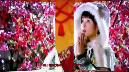 5172376412785450388.jpg?id=0