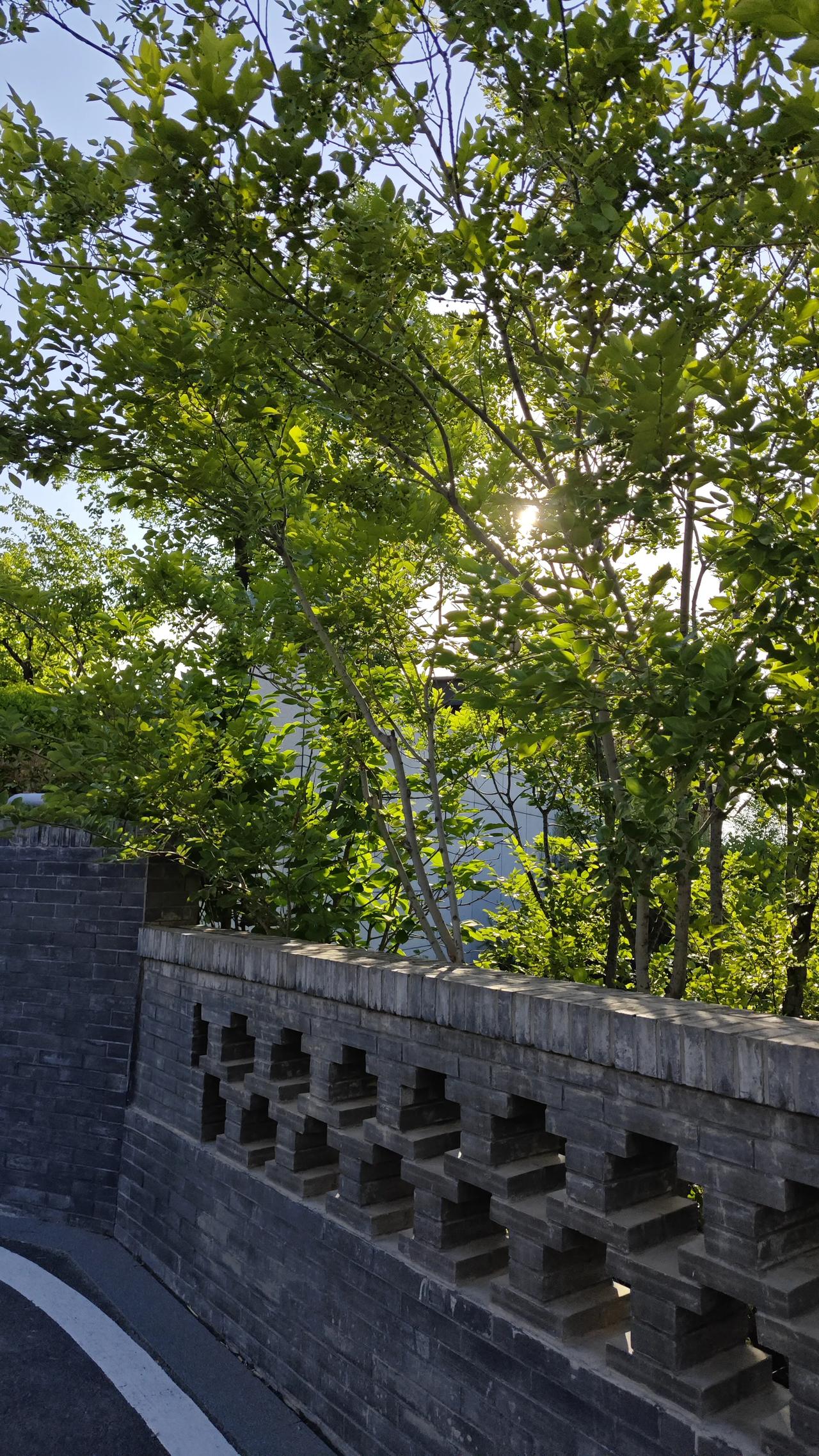 男子陪妻子就医突然心脏骤停，从中医角度分析现在为什么这么多人心脏骤停？我是“