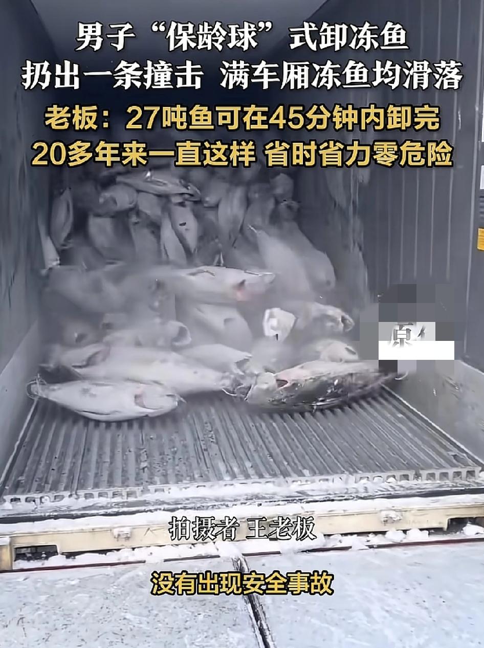 山东青岛一位网友分享了货车卸冻鱼的视频。场地负责人称，他们的员工每次卸鱼都是用的
