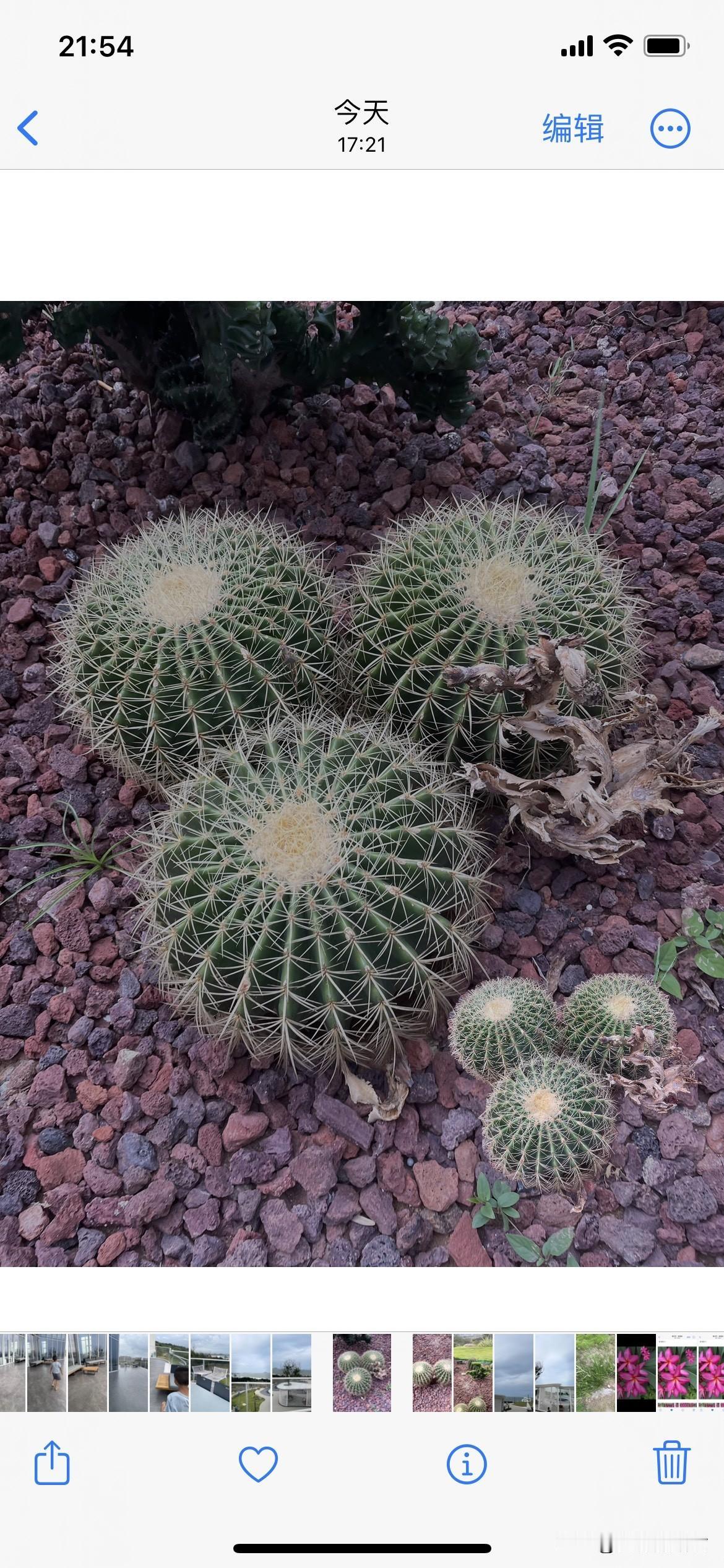 这种算计太多的女人，一定会把自己算计惨的！一女子谈了一个已婚的男朋友，交往两年被