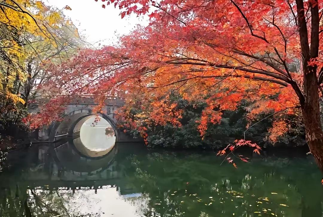 西班牙华人圈炸锅！一场悄悄到来的归国潮，藏着海外游子最真实的心酸与抉择。马