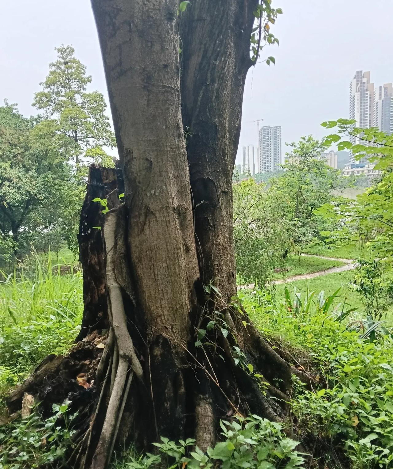 风水基础概念1、什么是风水？风水是研究人与自然环境关系的学问，核心是“藏风聚
