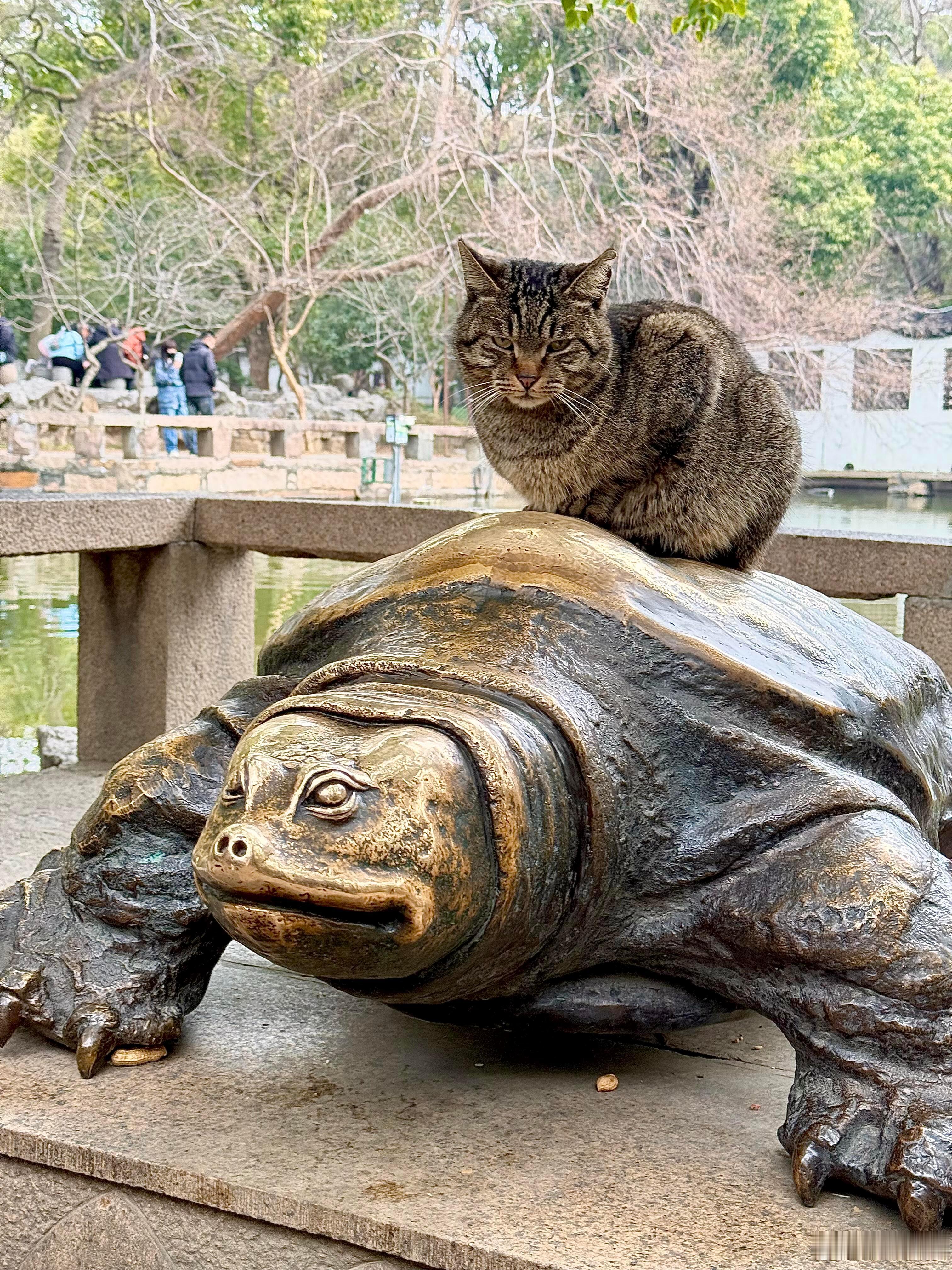 西园寺猫王有自己的坐骑