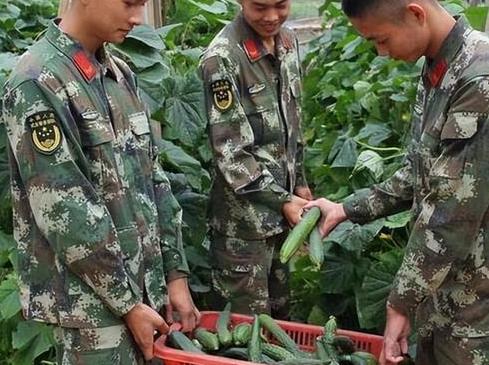 他1981年入伍，偷摘黄瓜被女兵发现报告连长，后来他被作退伍处理张建国那年才1