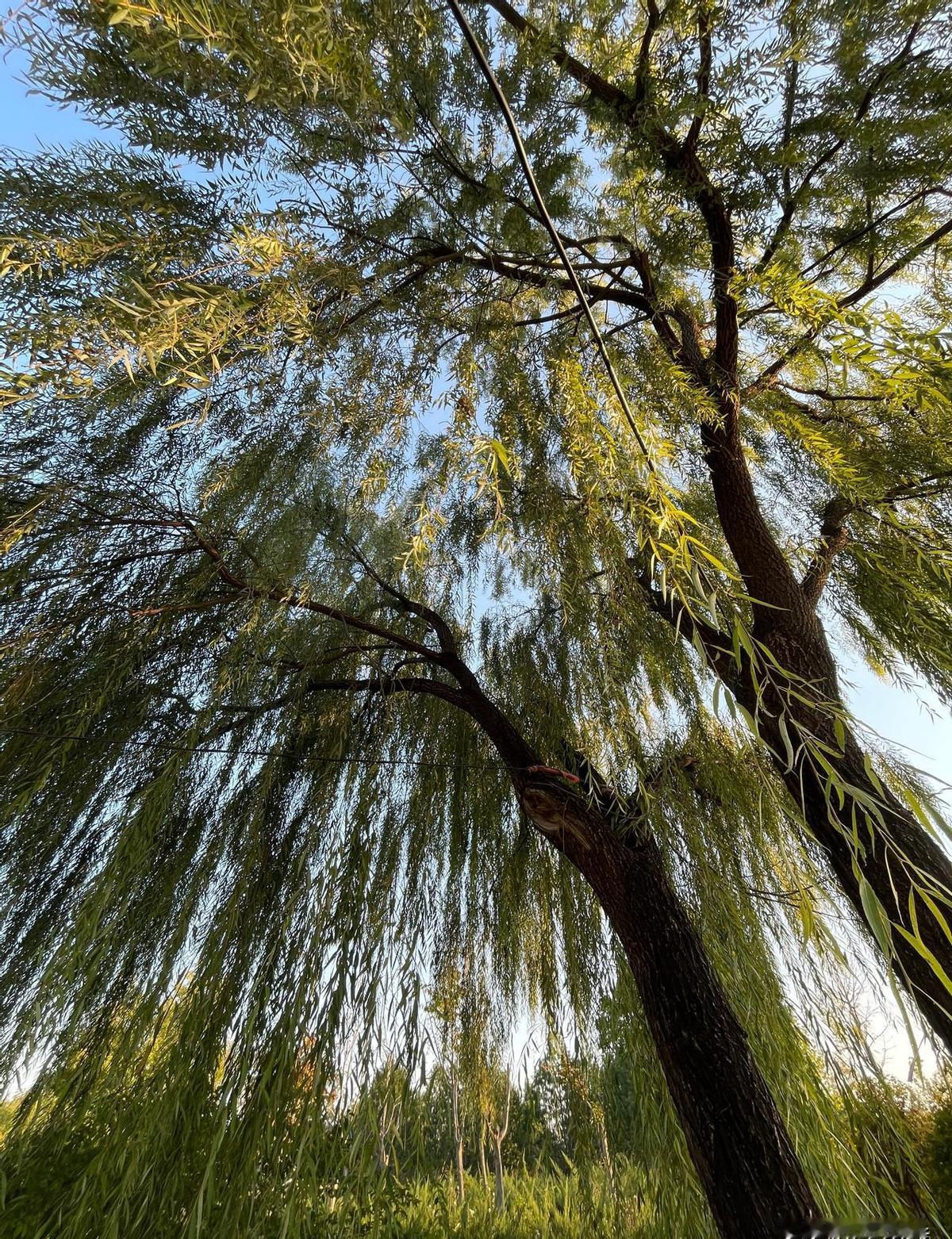 天冷别直接冲出去跑，膝盖不是铁打的。热身别偷懒，5分钟高抬腿、开合跳，身体暖了