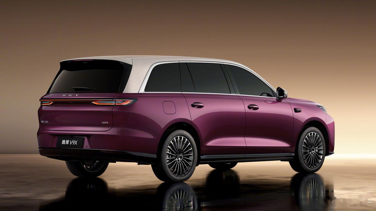 魏牌V9X的后副车架有点意思~