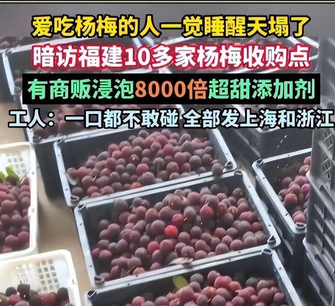 为了多卖那点钱，自己毁了七百年产业！杨梅事件问责来了福建漳州通报了泡药杨梅事件