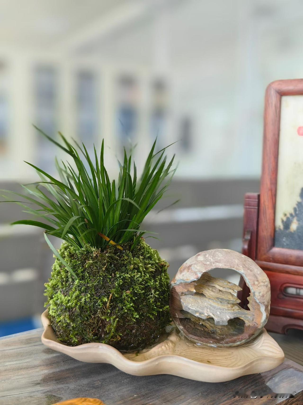 丈母娘对女婿再好，也不能当儿子一样，没边界，真会出事。邻居姐姐60岁，寡居