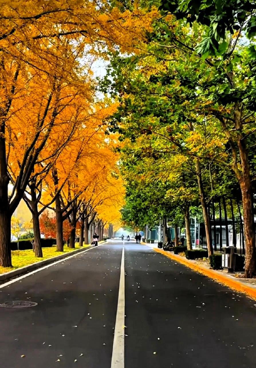 别轻易亮出你的“底牌”人都有忍不住显摆的时候：新买的包、刚换的车、一顿大餐、