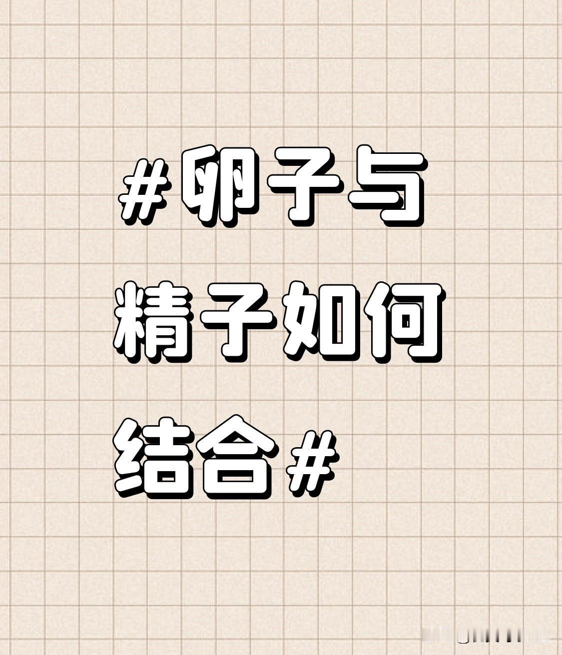 之前刷科普才知道，精子和卵子的结合根本不是大家想的“跑得快就能中”的简单竞赛。