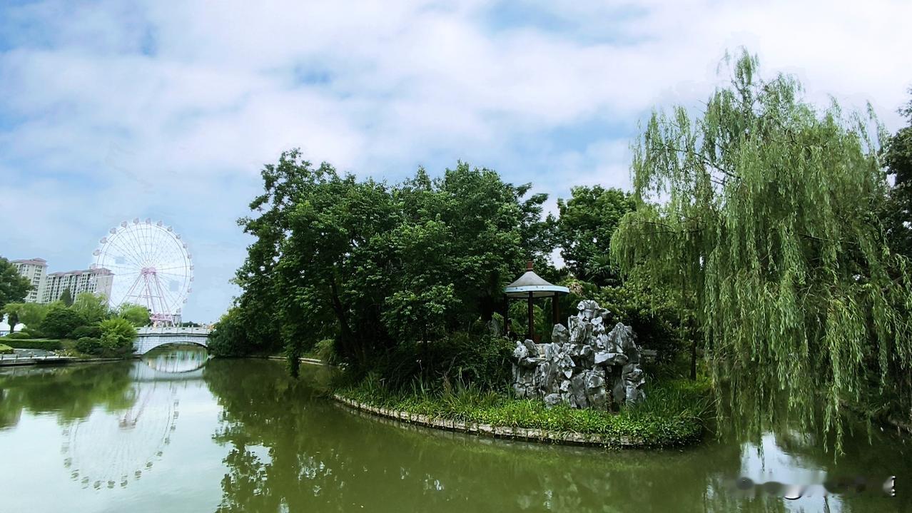 南京这秋老虎简直像粘人的牛皮糖赖着不走了，明明都过了立秋，大中午走在路上太阳晒得