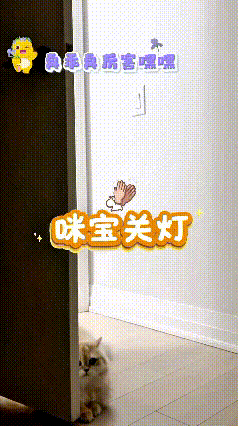 屋头小猫咪也太聪明咯！主人喊咪宝关灯，小家伙居然完全听得懂。乖乖跳起来，一爪子