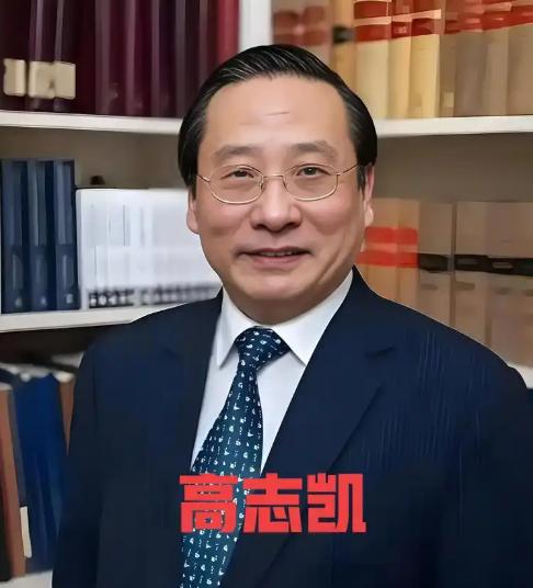 高志凯教授真是神了，他给中国稀土出谋划策，想出了一个连外国人都觉得狡猾毒辣的“高