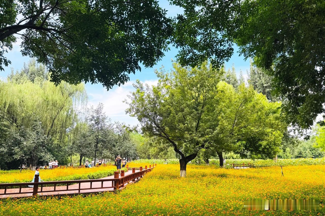 杰理科技申购已完成，不需要抢时间，大家可从容参与在之前的微头条中本人多次强调