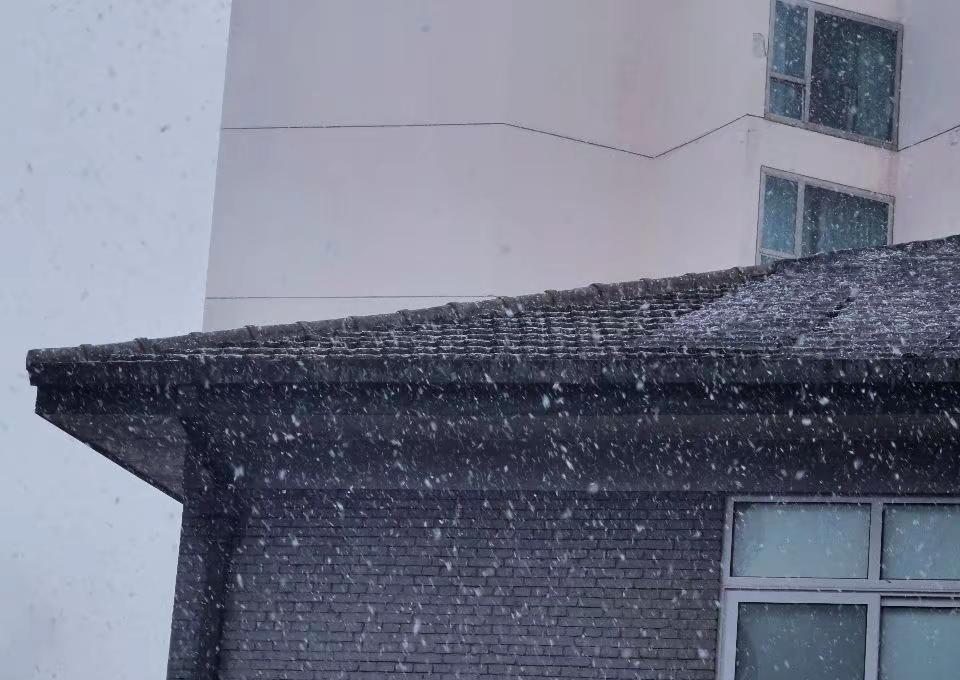 南方艳阳天各种花花看不完，北方鹅毛大雪🥲