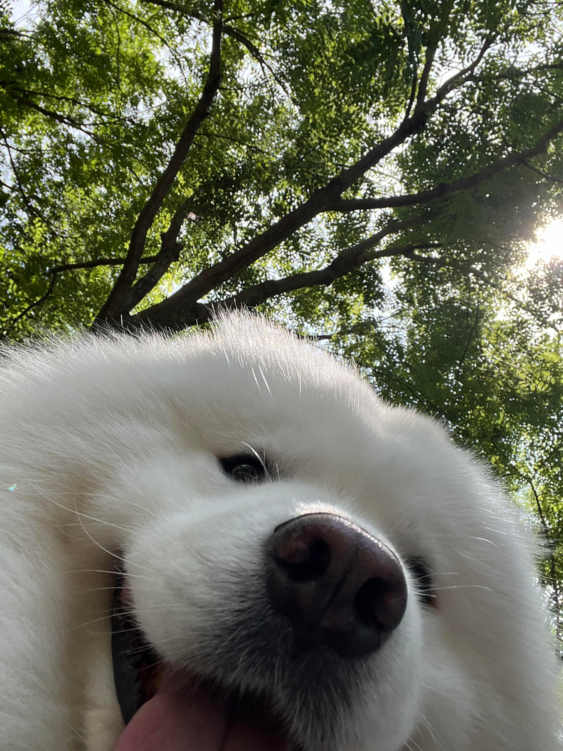 人，早上好耶​​​