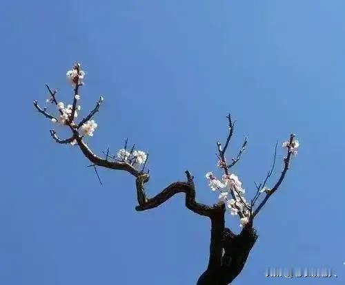 老人养老：人到了晚年，钱和儿女哪个更重要？以本人的观点，要看老人晚年养老的实