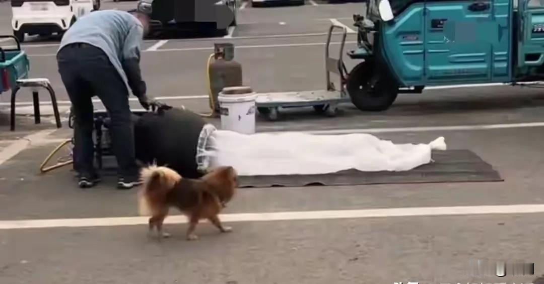 笑死了！早起看见一个新闻，说老大爷正在爆爆米花，一条狗狗闻着香味，刚好凑上去