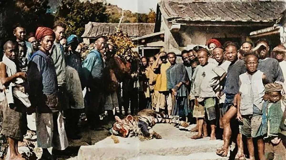 1902年，福建永春。一位村民正在屋里做晚饭，3岁的女儿在院里玩。突然，村民听到