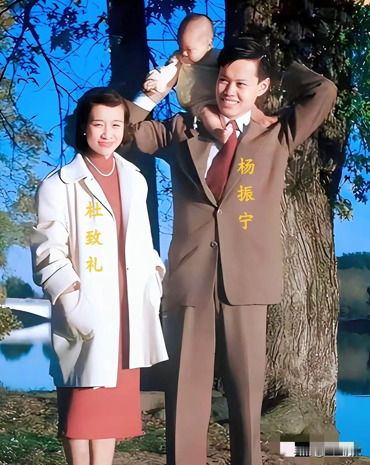 1951年，杨振宁一家三口在美国的珍贵留影，照片中的杨振宁，西装笔挺，英俊帅气；