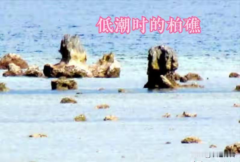 南海哪个礁盘最有价值？答案是柏礁。柏礁距离越南，马来西亚，菲律宾都很近，距离曾母