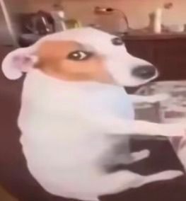 你身边陪伴你最久的一件东西是什么​​​
