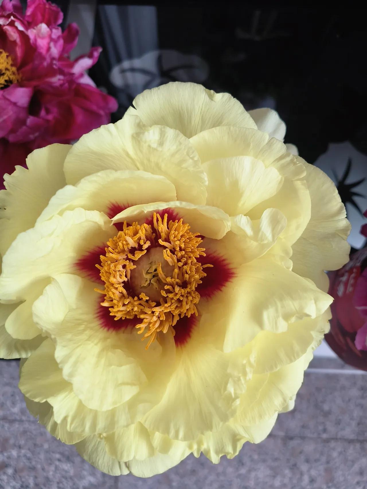 别染发，别染发，别染发4月15日，主持人尼格买提icon晒出眼