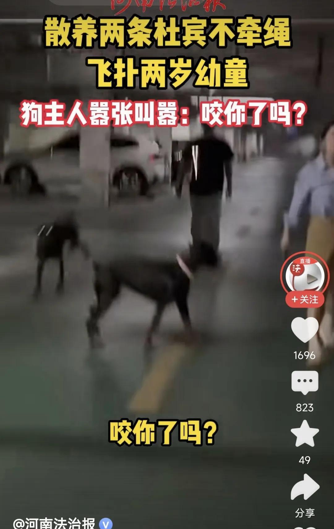 地下车库，两条杜宾犬从车里钻出来之后，飞扑两岁幼童，幼童父亲怒，声称遛狗不拴绳，