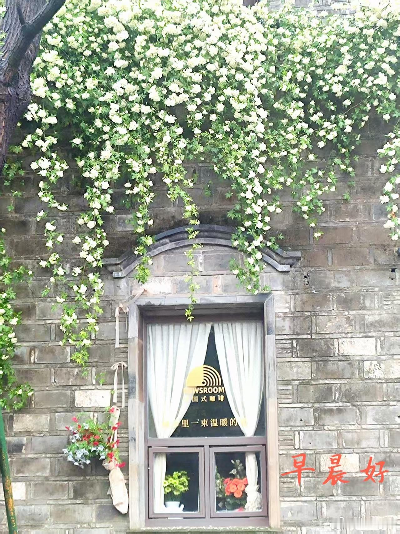 发小丁跃每晨到老门东打拳并拍片一张，另一发小（我从小就没敢多和她说话）羡慕说