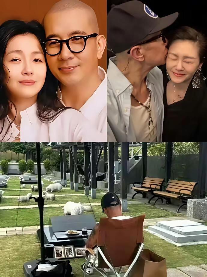 具俊晔这事儿，看得人心里挺不是滋味的。6.5亿遗产摆在那，谁不眼热？可他一