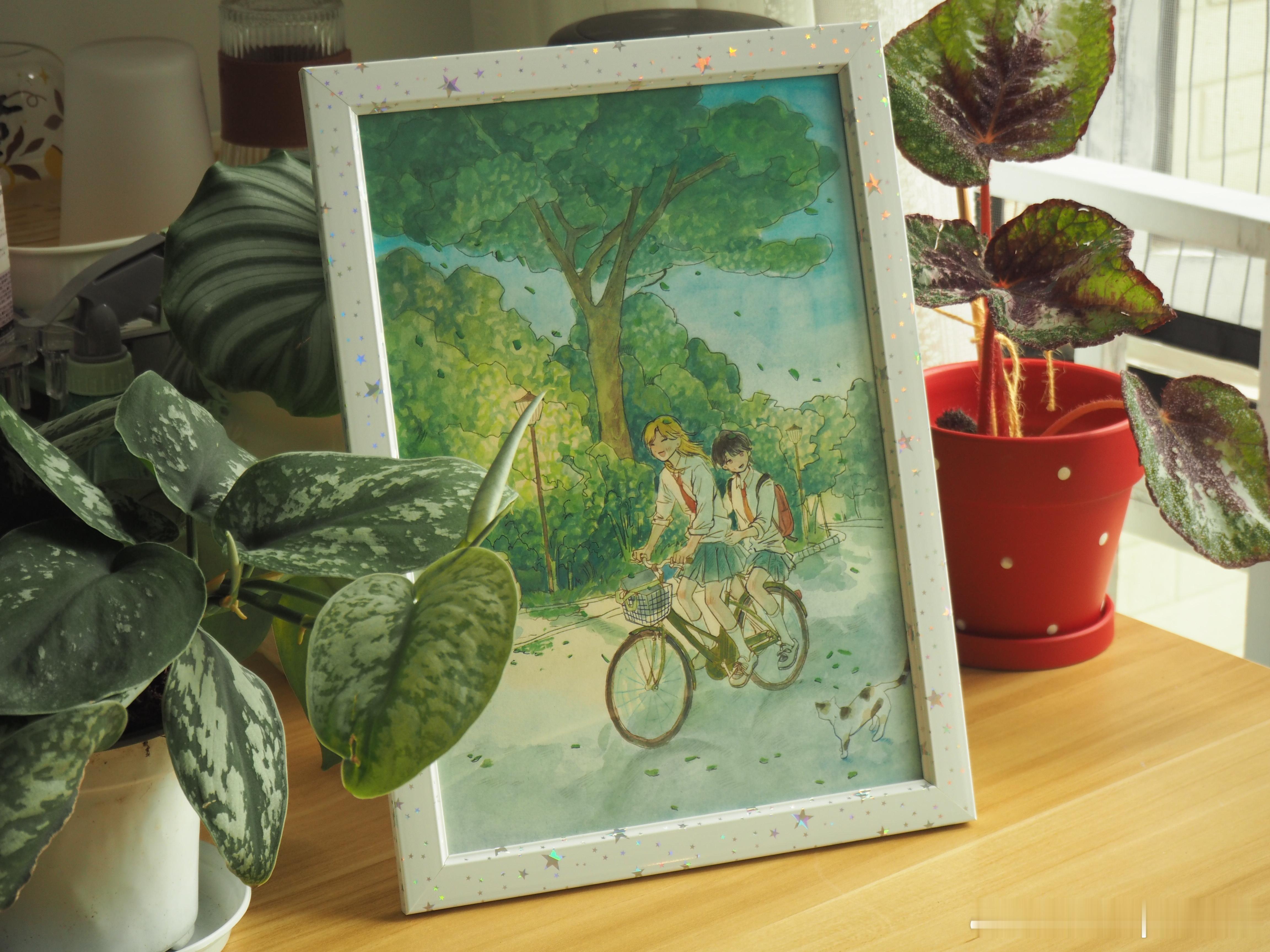 🤳糕🍃✨展示✨