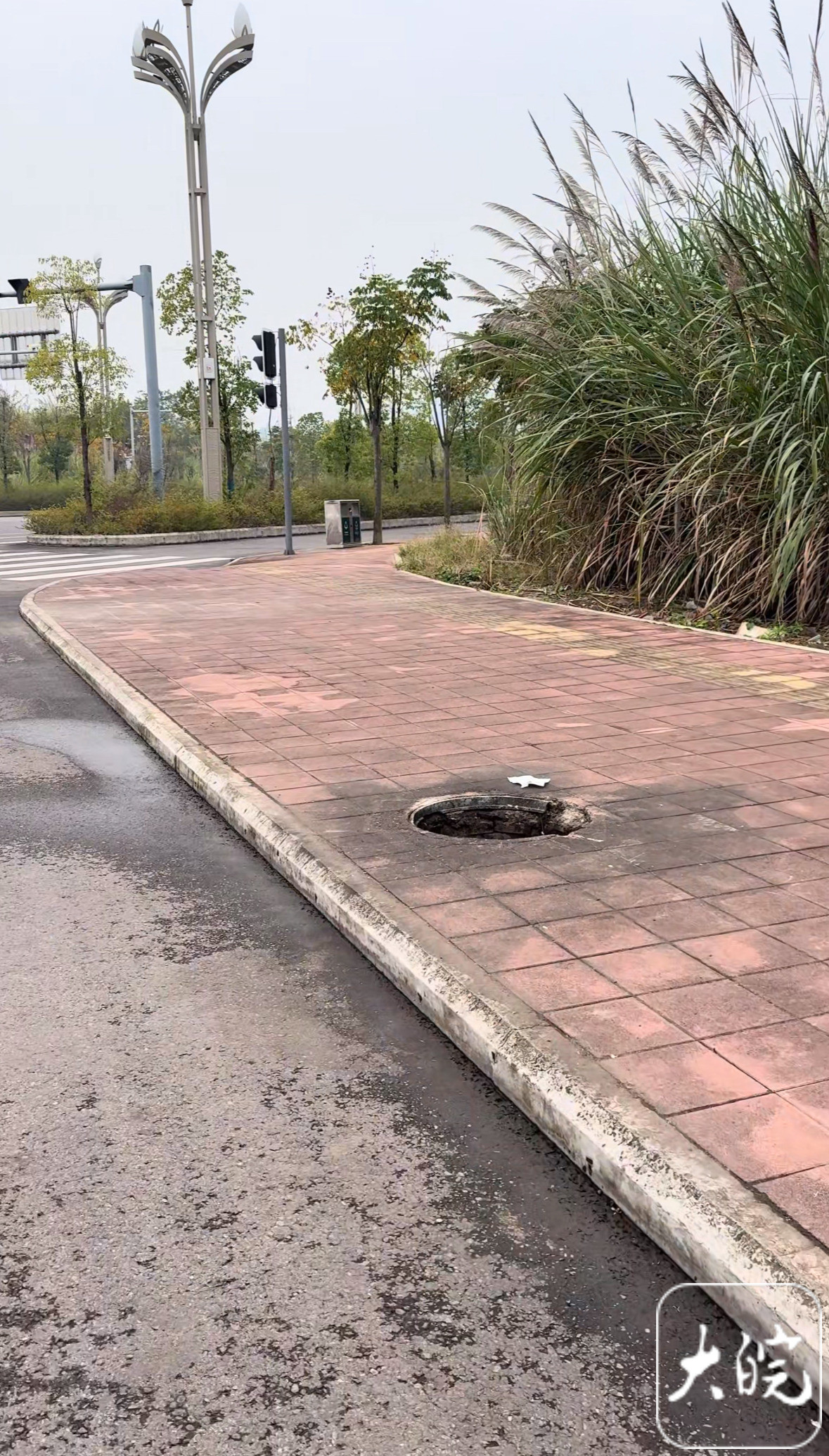 【四川一道路，相关视频引发热议】近日，有网民发视频反映，四川省仁寿县一条宽阔的人