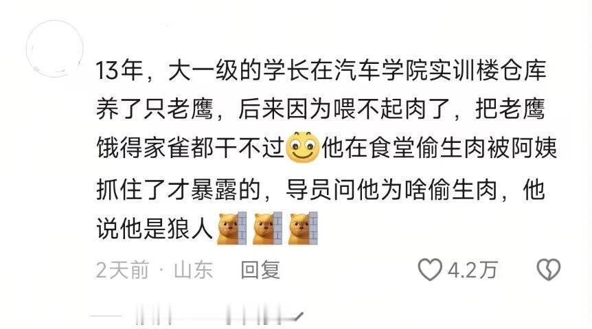 你永远不知道大学生能在学校宿舍里养什么