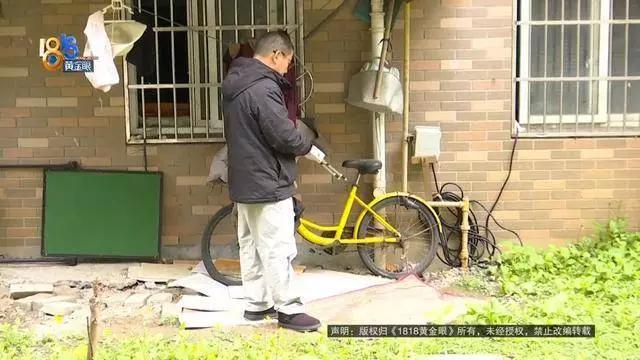 浙江的肖师傅真是倒了大霉！听奶奶说宅基地下埋着银元，预估能值六七十万，这让他一直