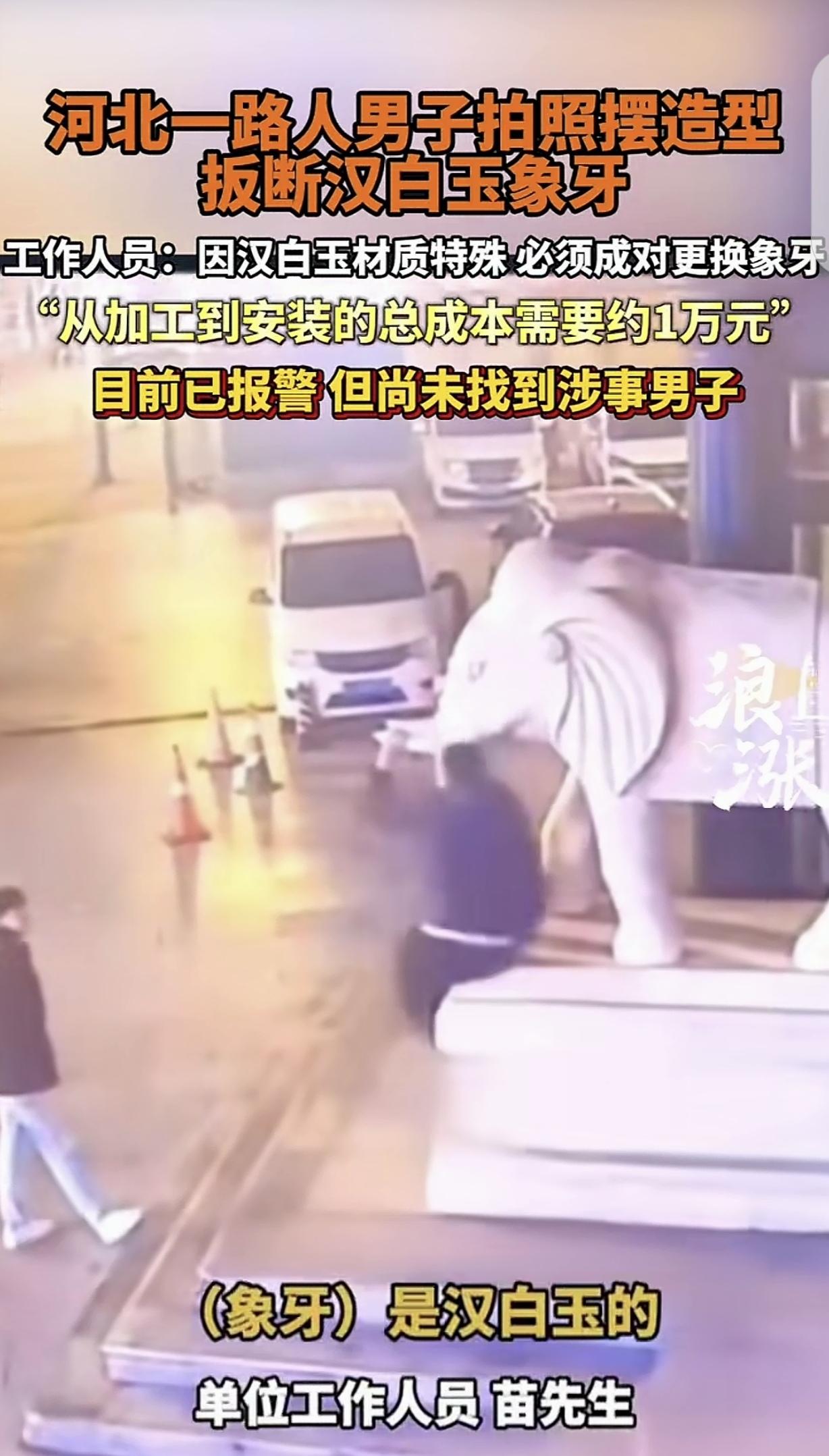 “这就是手欠的下场！”河北沧州，一男子看某公司门口，有座大象雕塑，竟跑过去掰着象