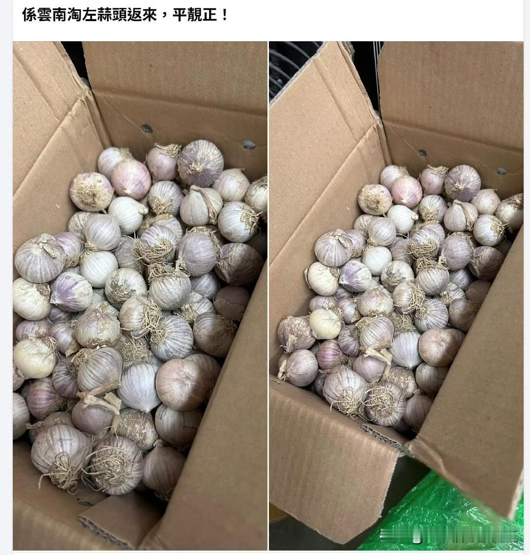 香港网民：在淘宝买云南蒜头，平靓正。