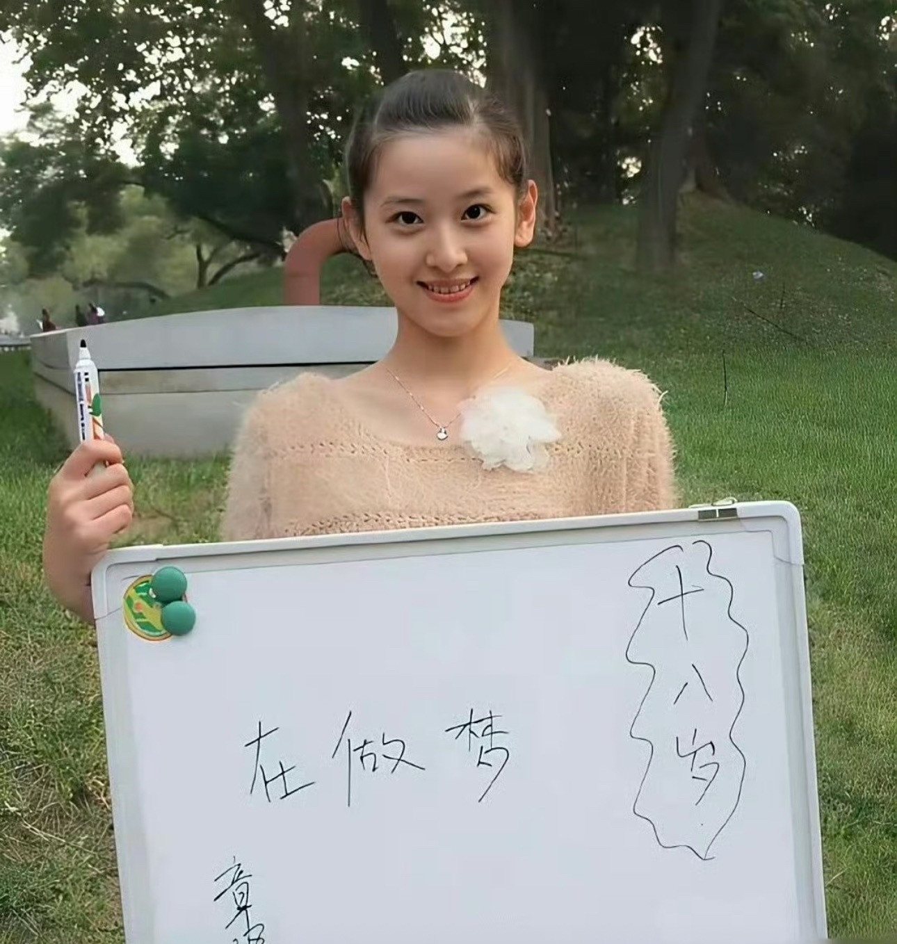 18岁的刘强东VS18岁的章泽天