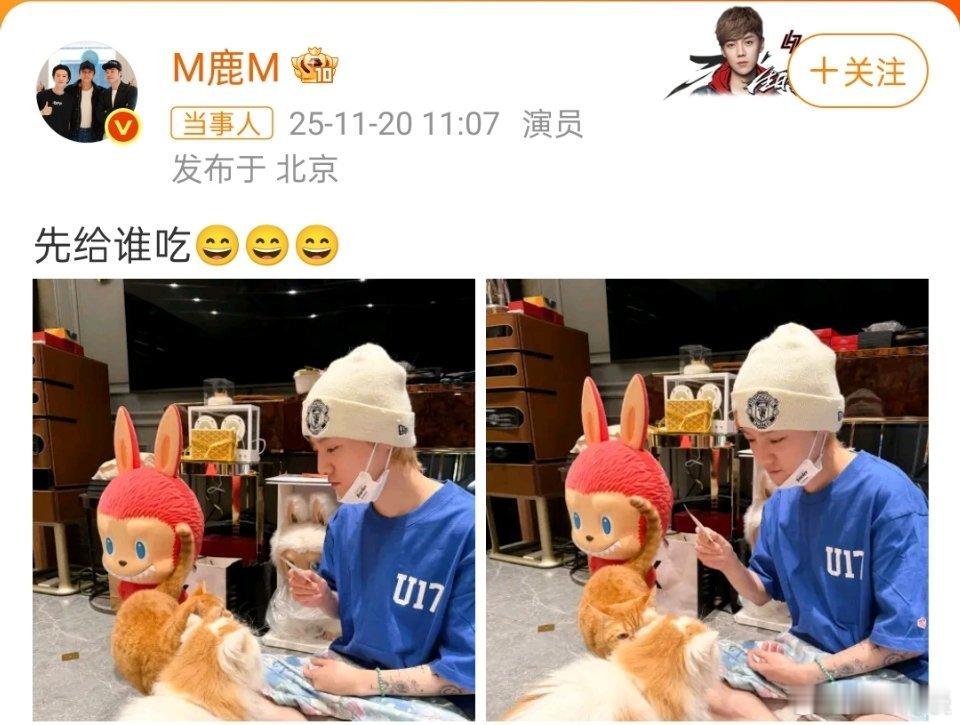 鹿晗不用纠结，评论区里全是嗷嗷待哺的馋猫