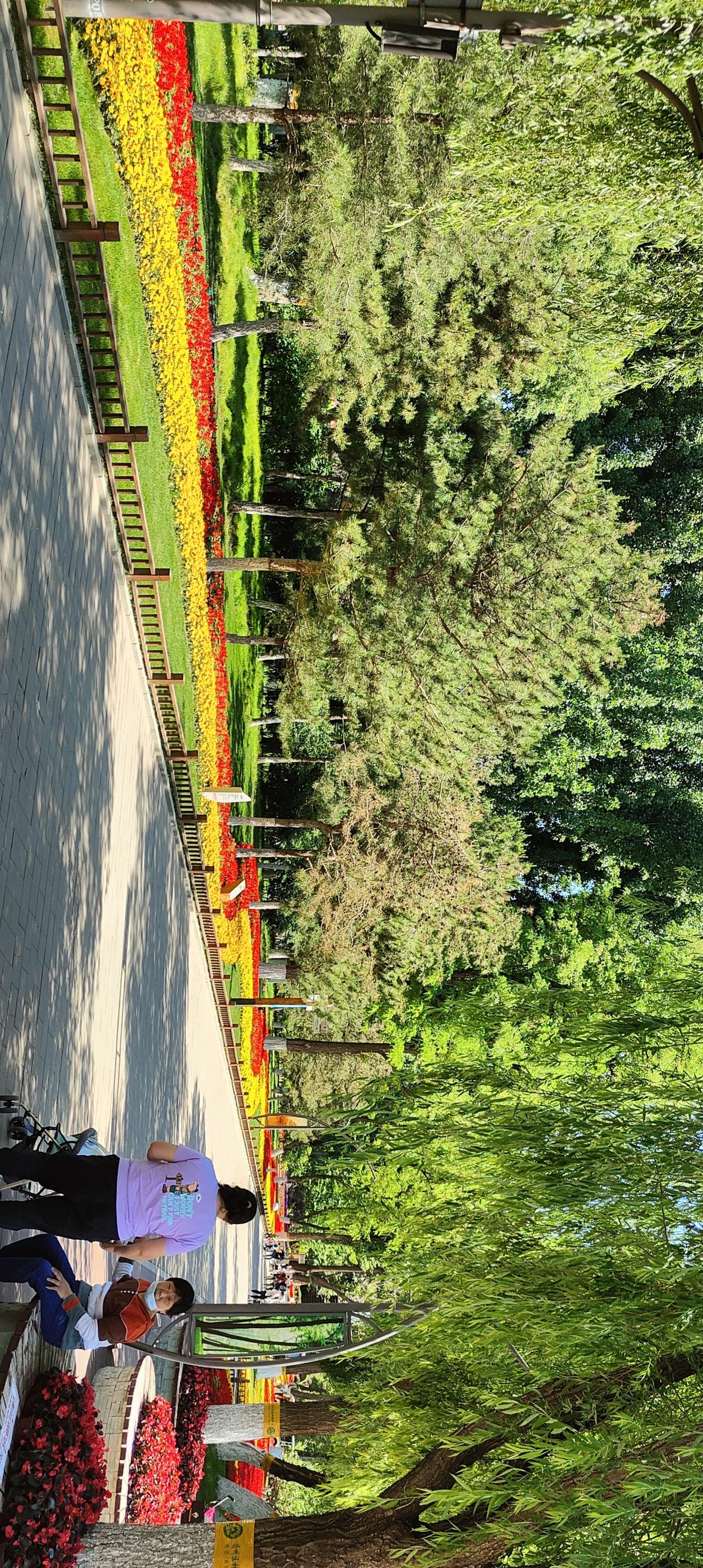 阳光洒满的公园小径，绿树成荫，花团锦簇，悠闲漫步，享受美好时光。🌞🌳🌸