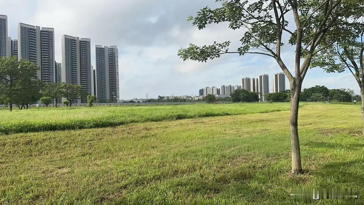 当归，黄芪，人参，红枣，枸杞，再加一点桂圆，有没有和我一样的懒人养生就是如此简单