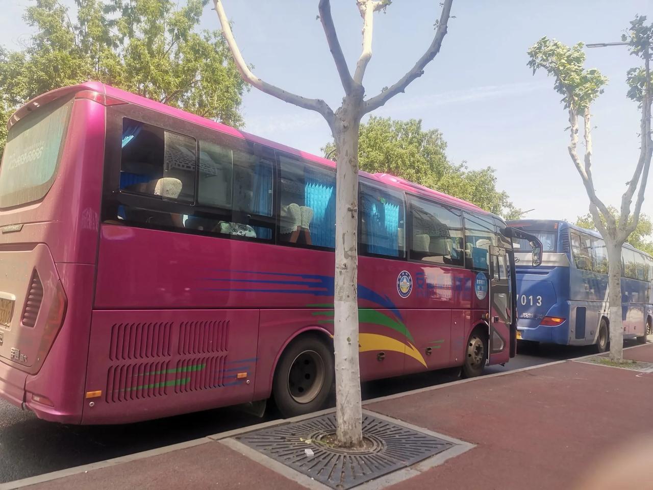 外地游客在大成路美食街排着队，旅游大巴在长江大桥下排着队等。热干面5块钱一碗—