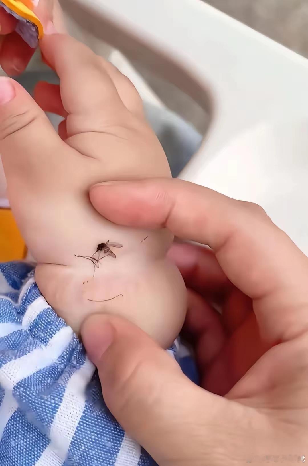 蚊子：这辈子死的也太憋屈了。