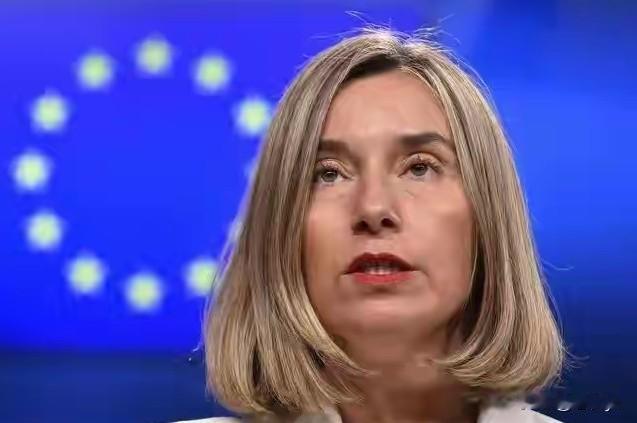 欧盟前“外长”、欧洲学院院长、冯德莱恩闺蜜被捕，欧盟外长卡拉斯办公室也遭搜查。1