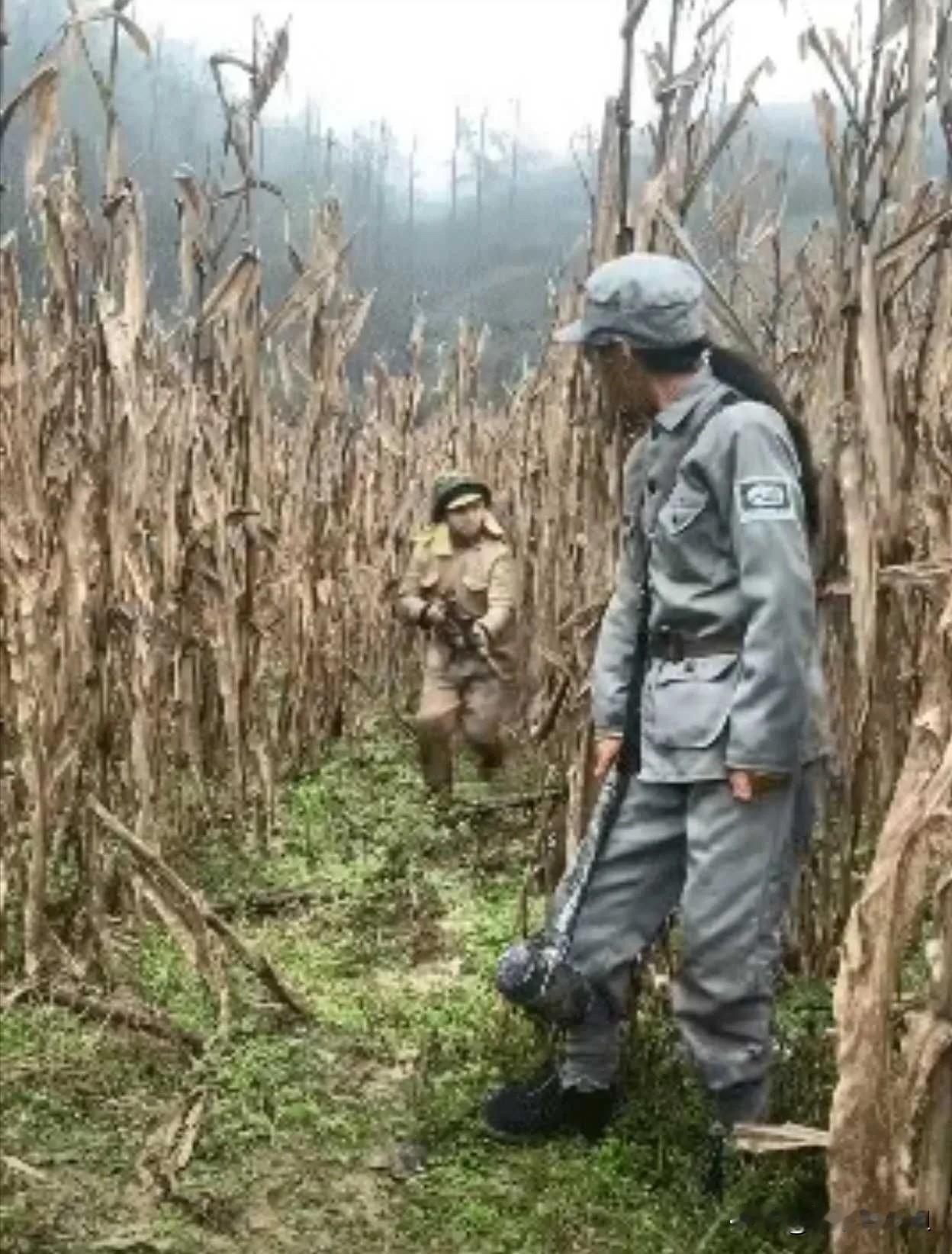 不是，导演组你这是赤裸裸的侮辱我的智商吧！[捂脸哭][捂脸哭][捂脸哭]