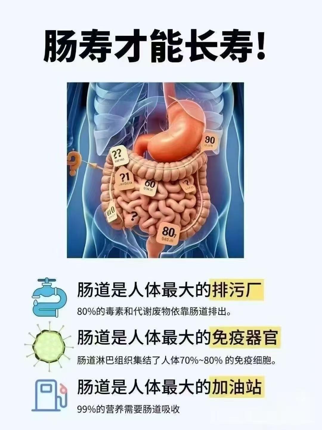 浅谈肠道健康重要性肠道可是人体最大的消化和免疫器官。消化方面，咱